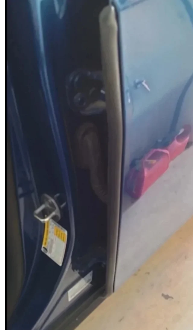 Ford Maverick Need advice on installing sound deadener 20260522_082439