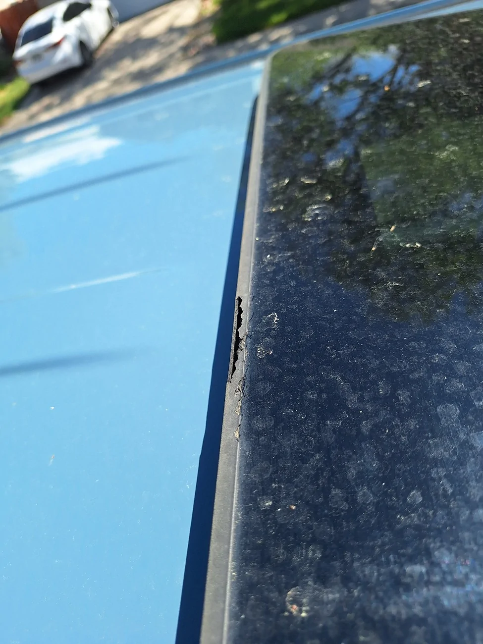 Ford Maverick Sunroof weather stripping falling apart. 20260516_152315
