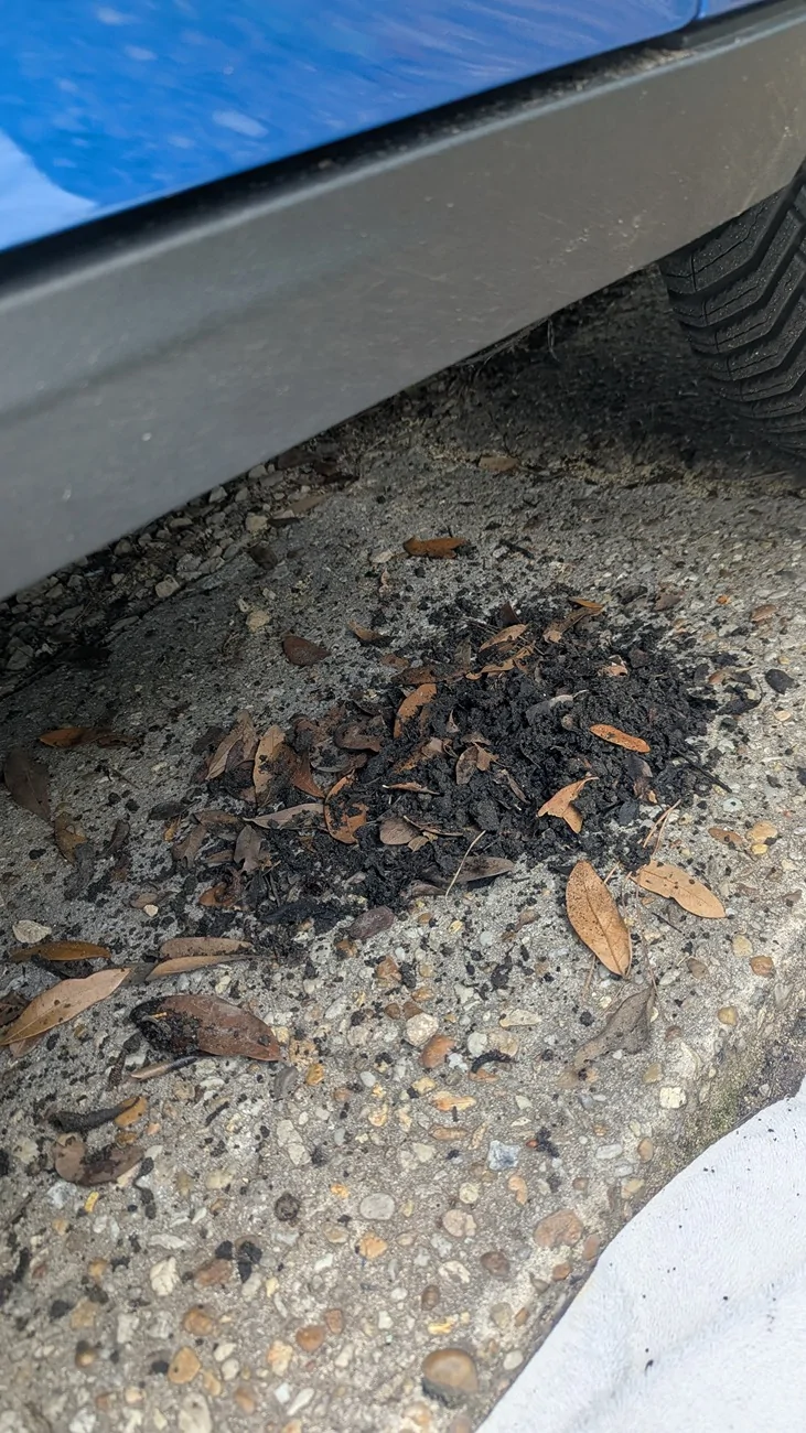 Ford Maverick Cleaning under the rocker panels - how-to and results PXL_20260525_184802193
