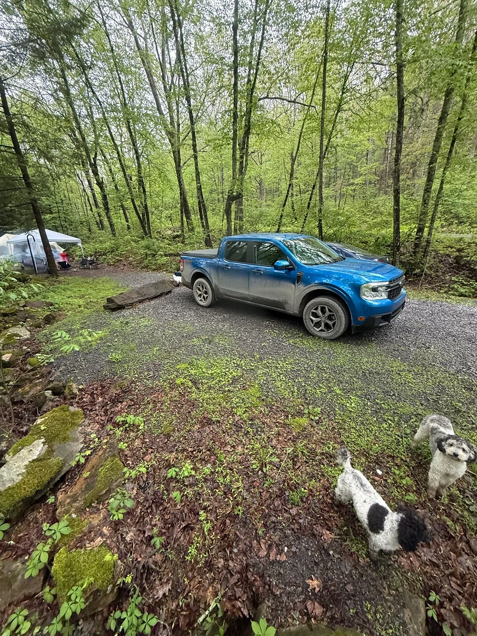 Ford Maverick How’re you spending the long weekend? Share your photos 📸 IMG_6039