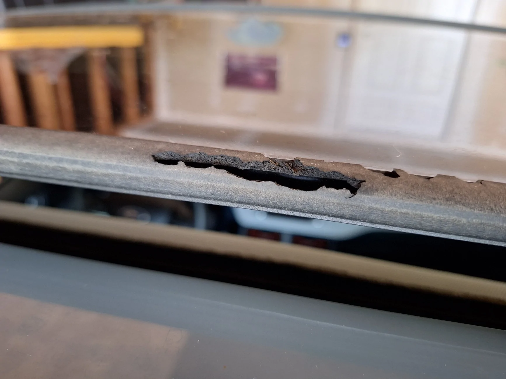 Ford Maverick Sunroof weather stripping falling apart. 20260527_135612
