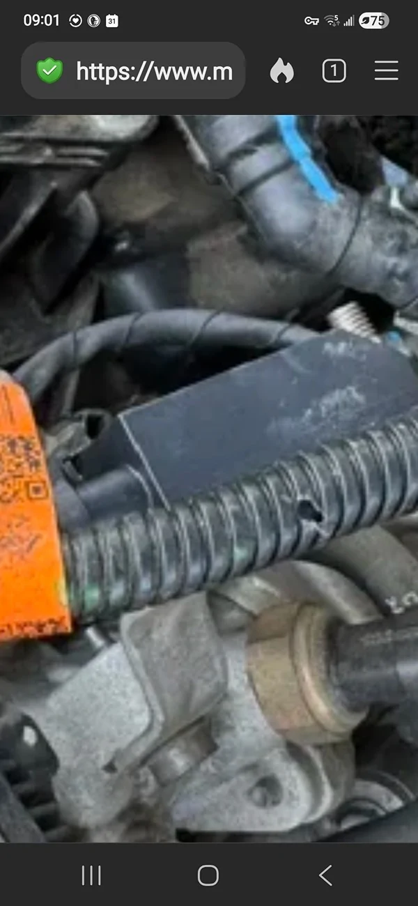 Ford Maverick HYBRID ONLY Fuel line issue Screenshot_20260531_090143_DuckDuckGo