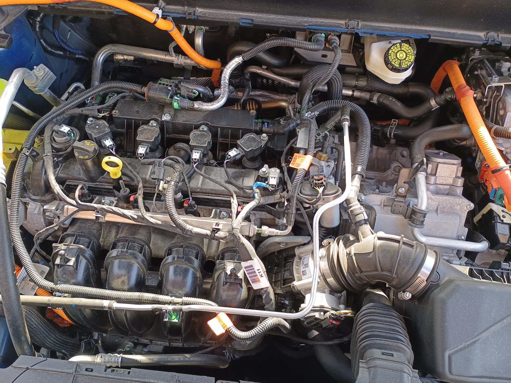 Ford Maverick HYBRID ONLY Fuel line issue IMG_20260531_174601_479