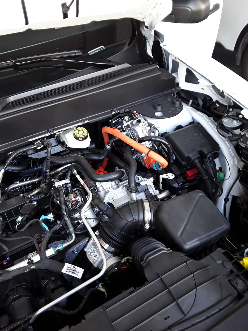 Ford Maverick HYBRID ONLY Fuel line issue 20260413_155034