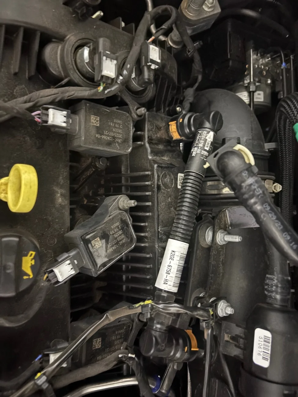 Ford Maverick Buying and installing a Catch Can IMG_1291