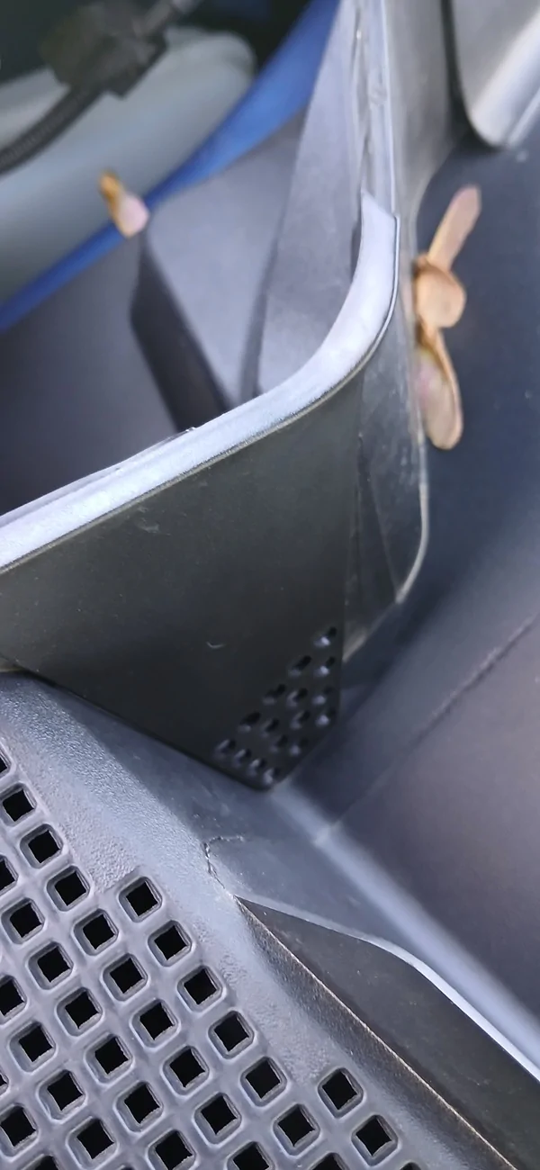 Ford Maverick Cleaning your gutters?  Check your Mav too. 20260527_124344