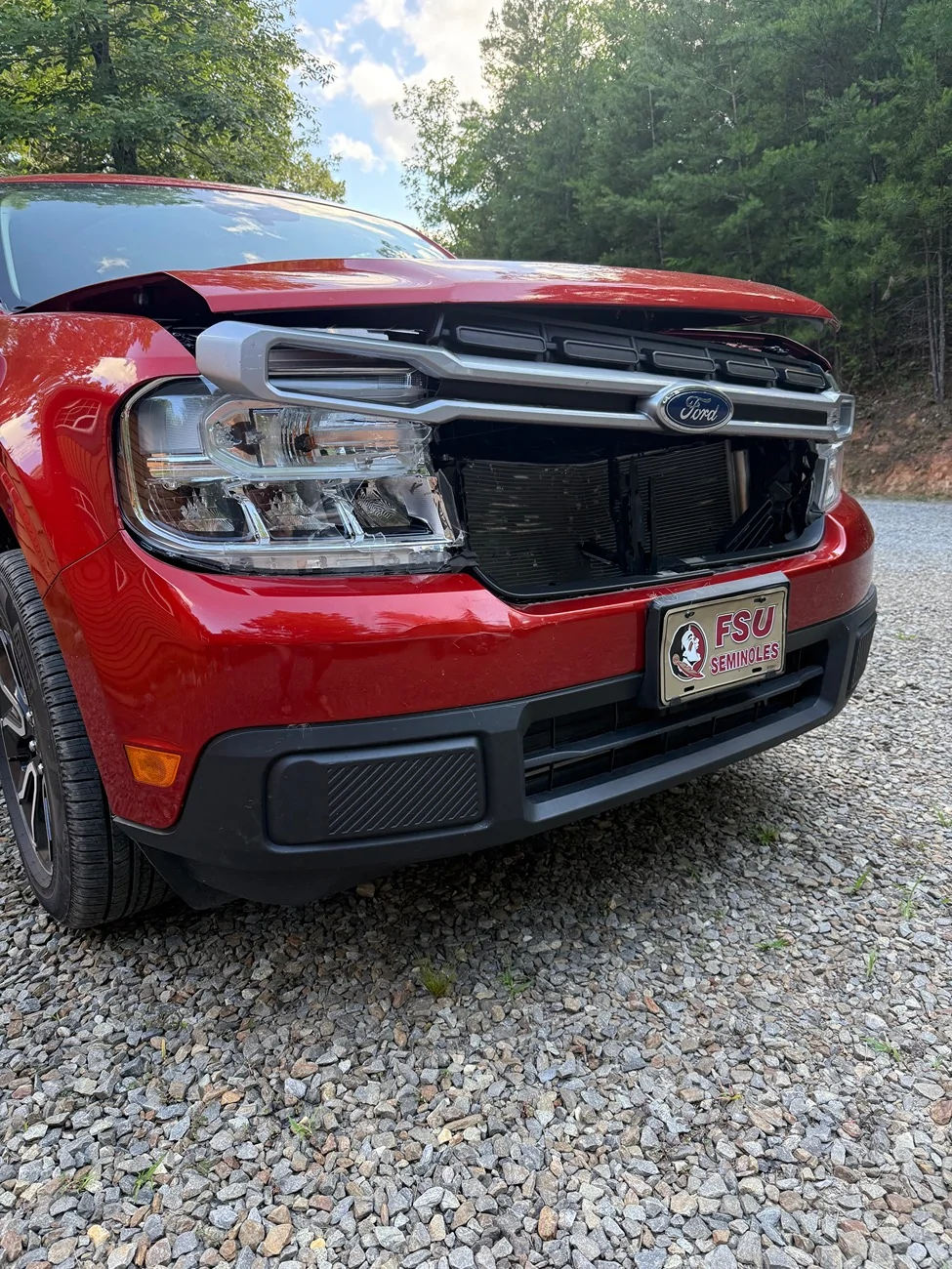 Ford Maverick Deer Strike IMG_2607