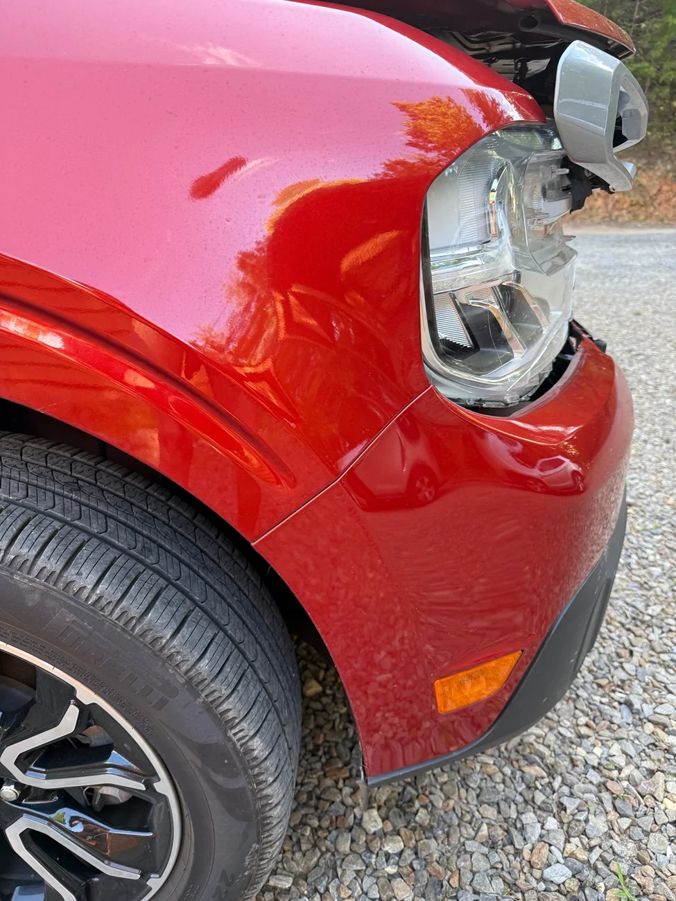 Ford Maverick Deer Strike IMG_2616