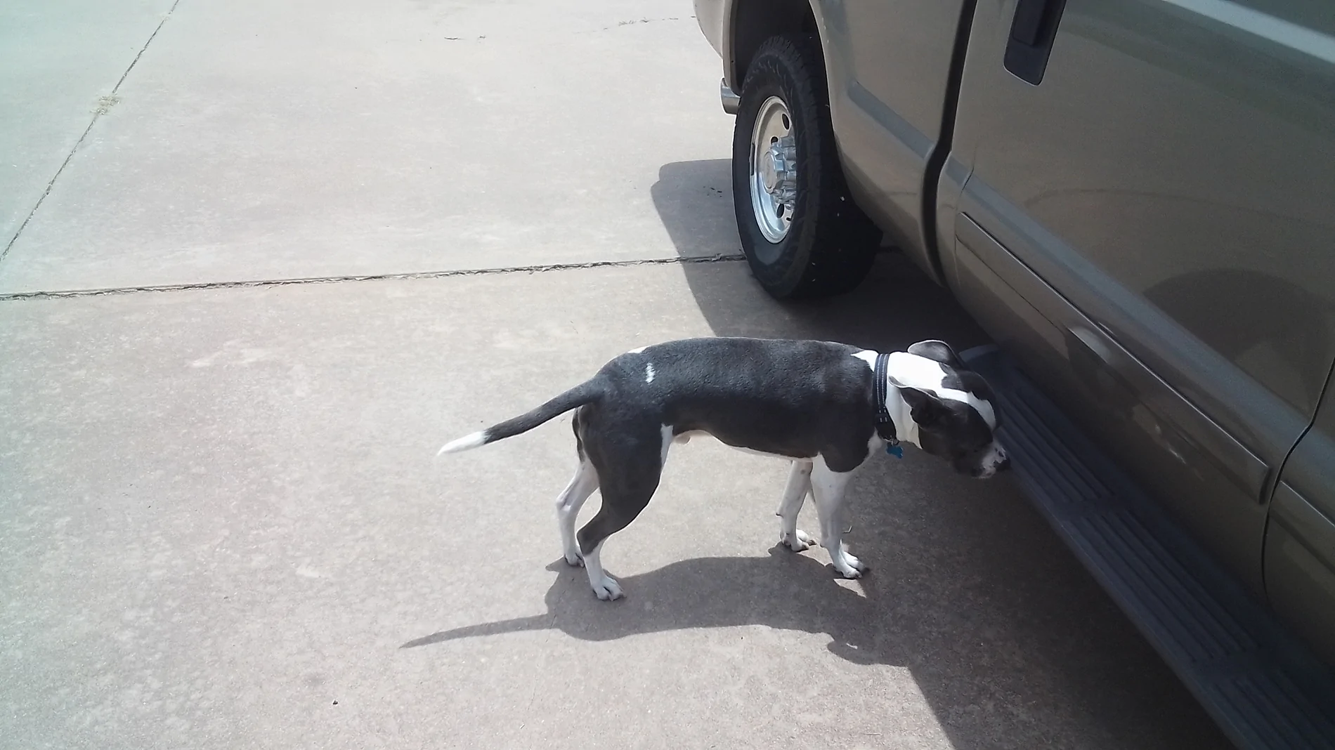 Ford Maverick Who has named their Maverick Bret, Bart or Beau? IMG_20260703_123409