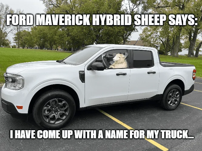 Ford Maverick Maverick Memes -  fun diversion while we wait [ ** NO POLITICS ** ] download (69)