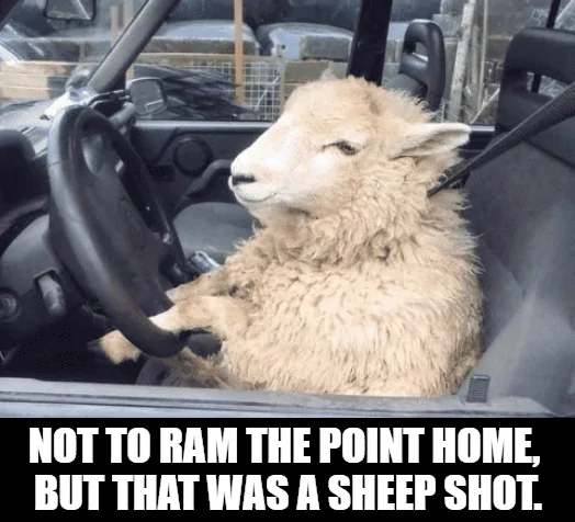 Ford Maverick Maverick Memes -  fun diversion while we wait [ ** NO POLITICS ** ] download (71)