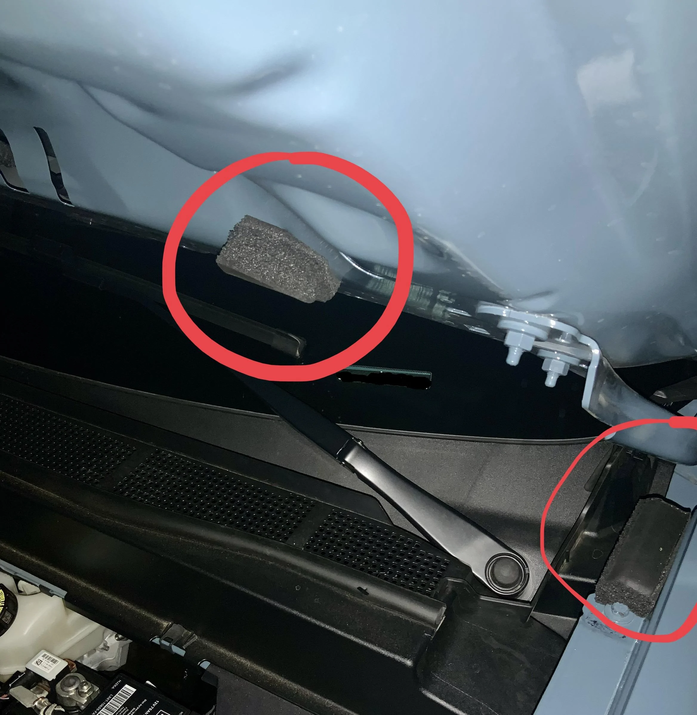 Ford Maverick TSB & FIX: Hood Flutter Shake at Highway Speeds 76A33BDD-D330-45B3-A795-733AF8F2E01C