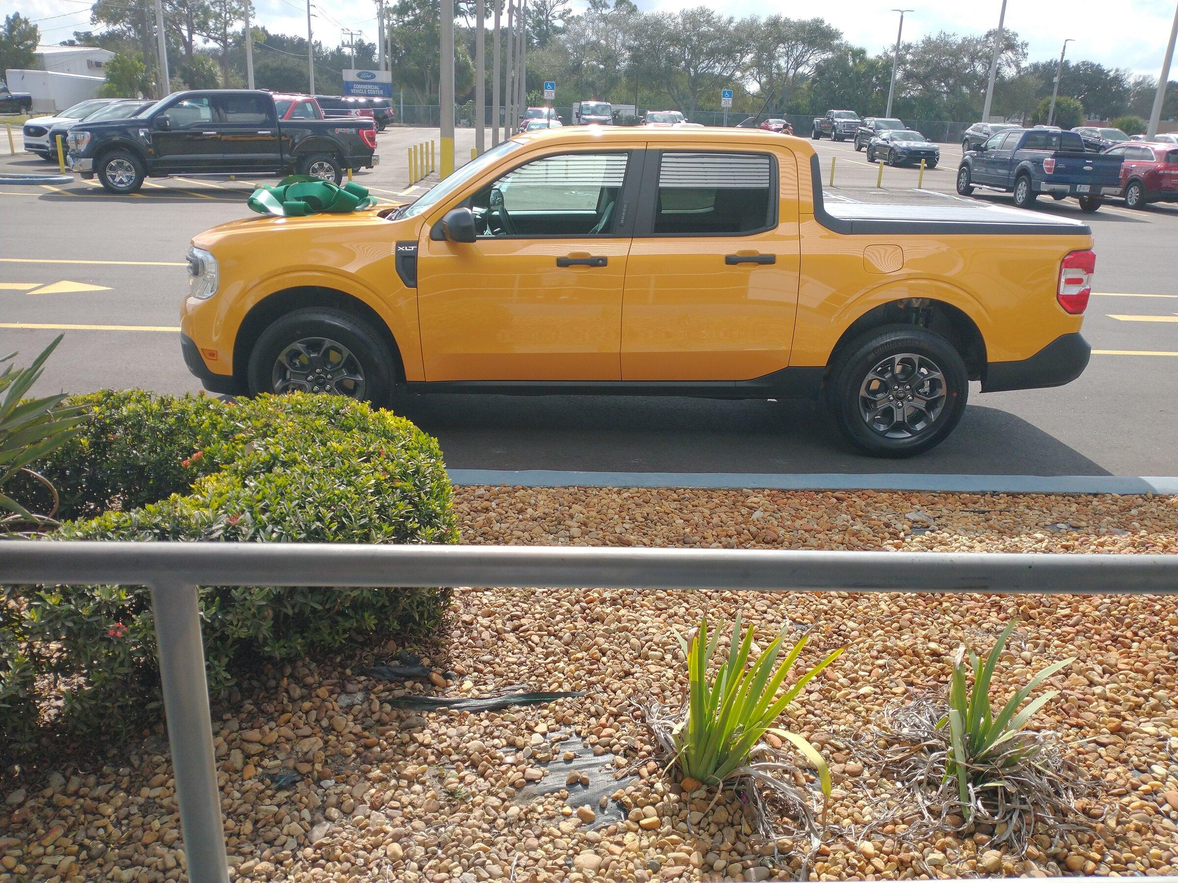 Ford Maverick Orders delivered to Florida? Mav at Dealer