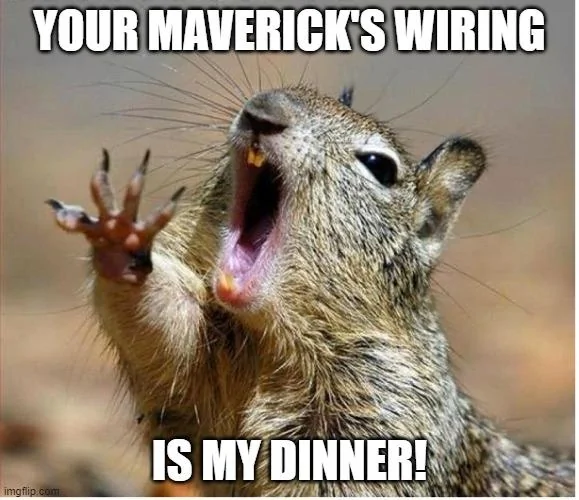 Ford Maverick Maverick Memes -  fun diversion while we wait [ ** NO POLITICS ** ] 5zcjyc