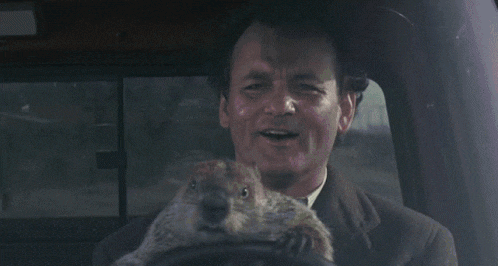 Ford Maverick Maverick Memes -  fun diversion while we wait [ ** NO POLITICS ** ] groundhog-drivin