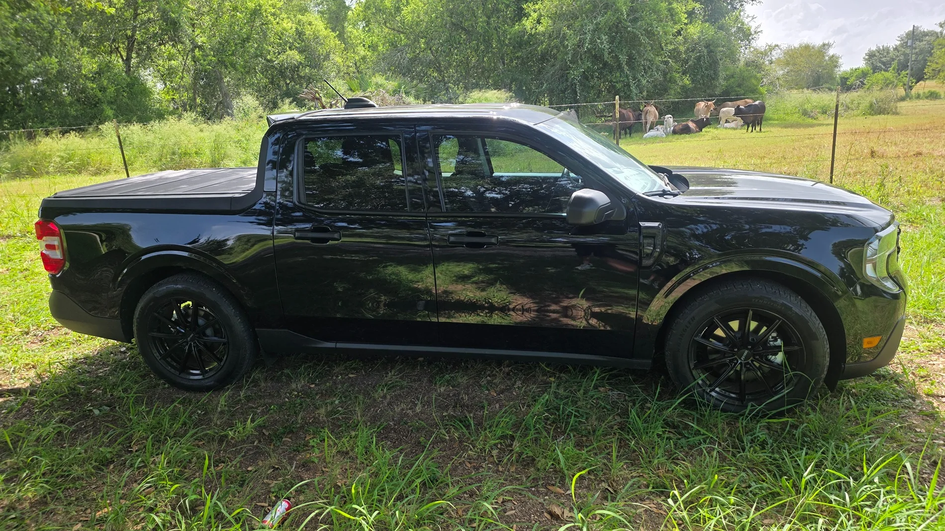 Ford Maverick My build 20260717_164358