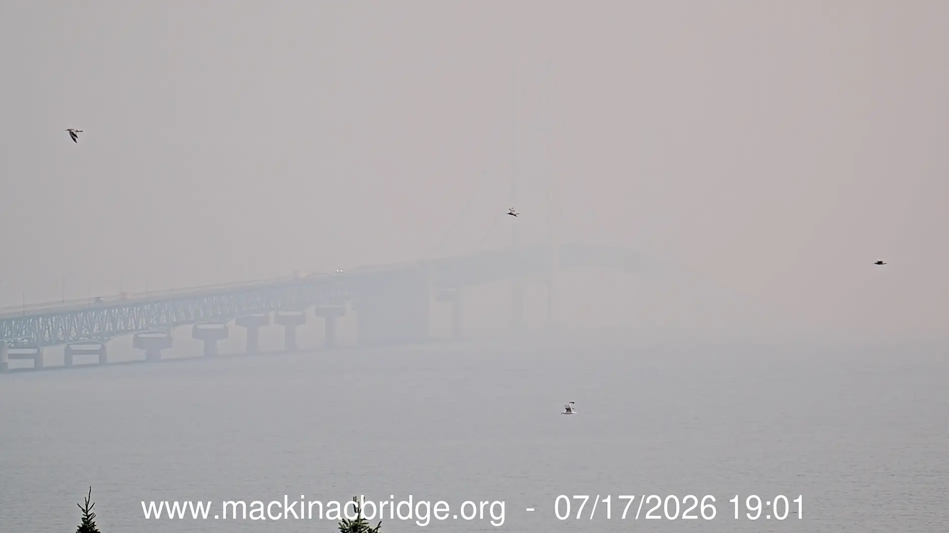 Ford Maverick #TremorWildfireSmoke -Share Your Pics💨🔥 1784329358485-t
