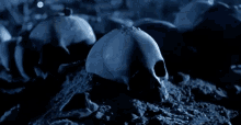 Ford Maverick Ford Pass AI button terminator-skull
