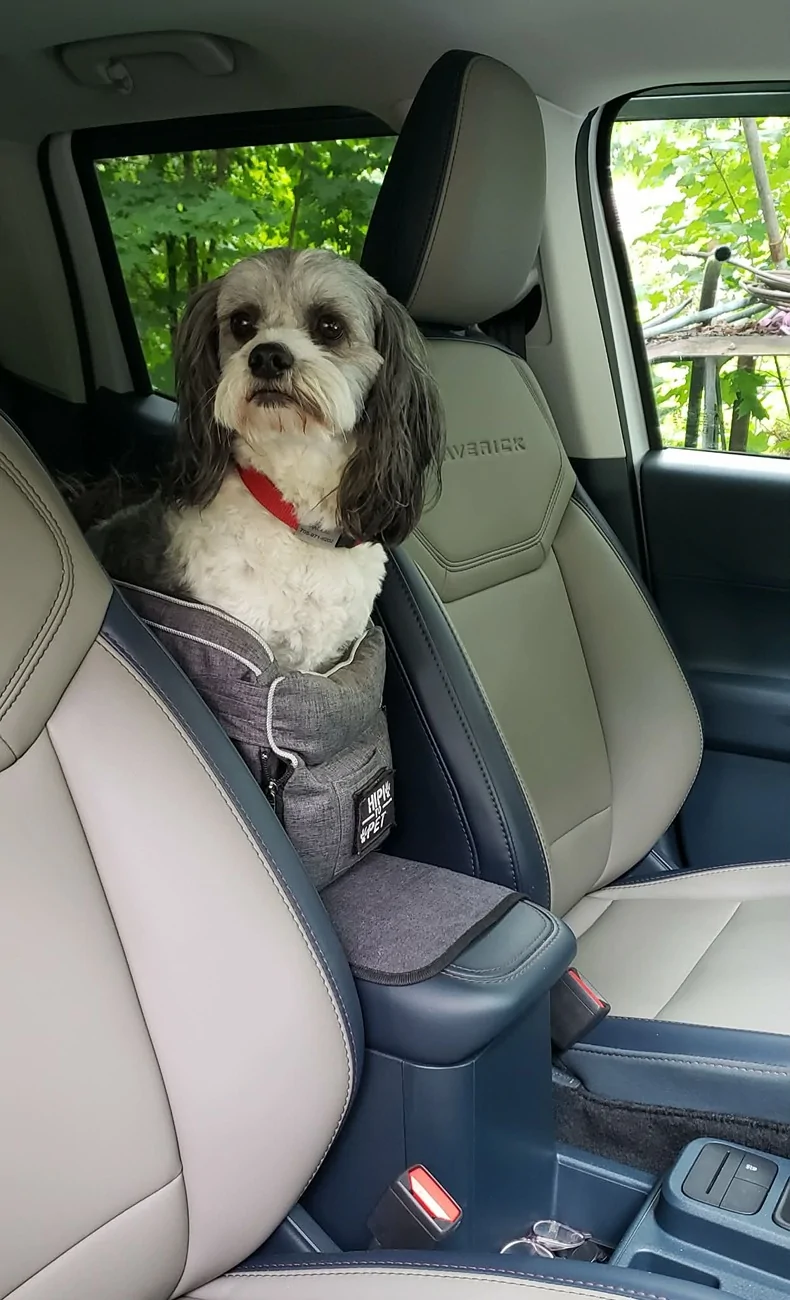Ford Maverick Cobbled together a bed for my Shih Tzu Messenger_creation_400CECD3-6512-42C9-9F16-5347667AF2E2
