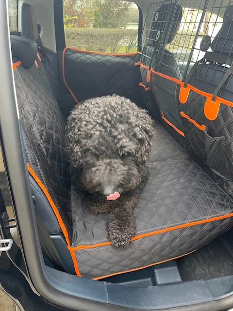 Ford Maverick Cobbled together a bed for my Shih Tzu Maverick055