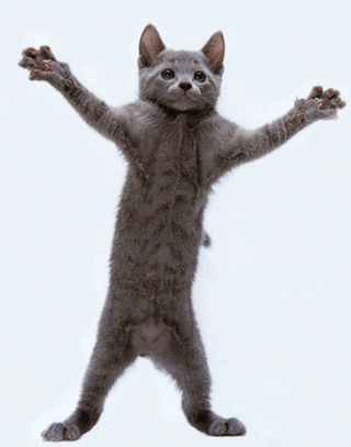 Ford Maverick Weirdness dancedancingGIF