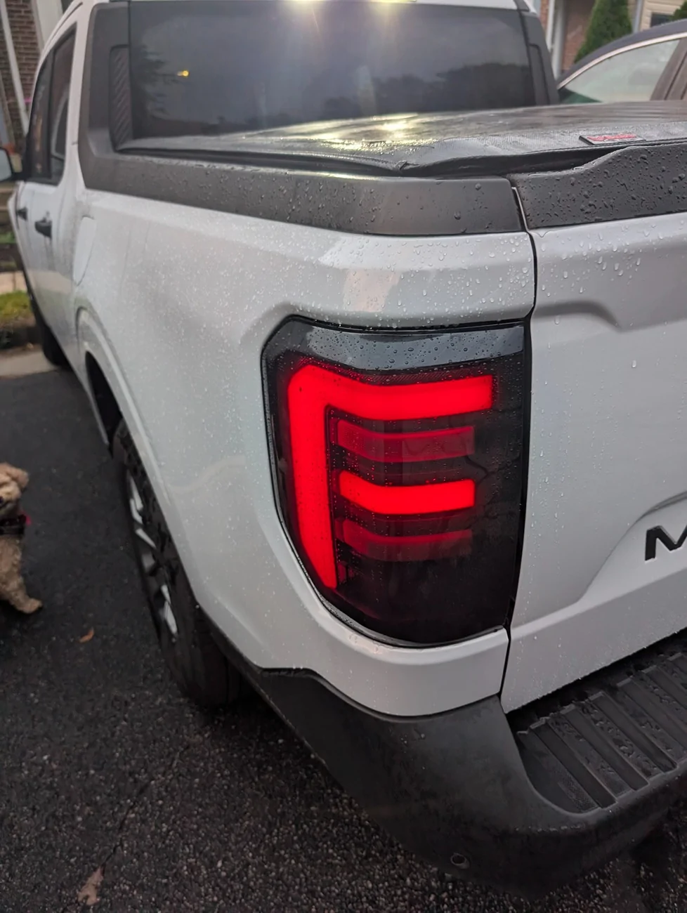 Ford Maverick Armor Series LED Tail Light Bulb Upgrade from Headlight Revolution? PXL_20260820_103129665.RAW-01