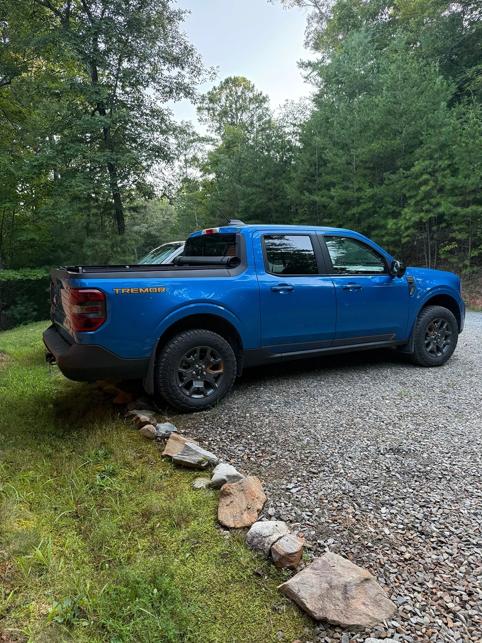 Ford Maverick Cathy,s Tremor is finally complete! IMG_2793