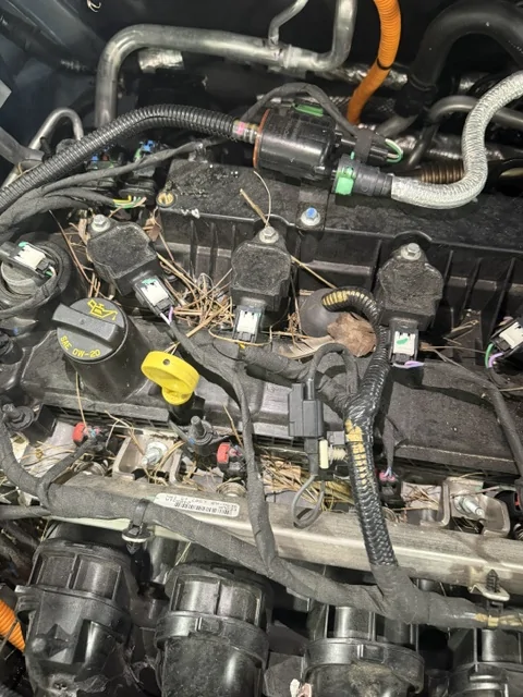 Ford Maverick Loved it at first, hate it now. Ford dealer pics (18)