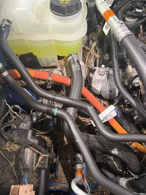 Ford Maverick Loved it at first, hate it now. Ford dealer pics (21)