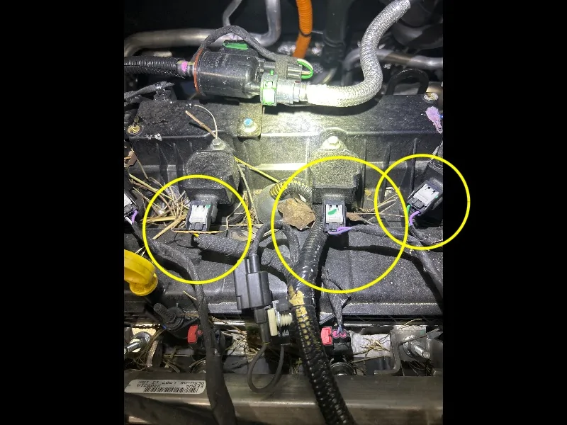 Ford Maverick Loved it at first, hate it now. My mechanics pics (4)