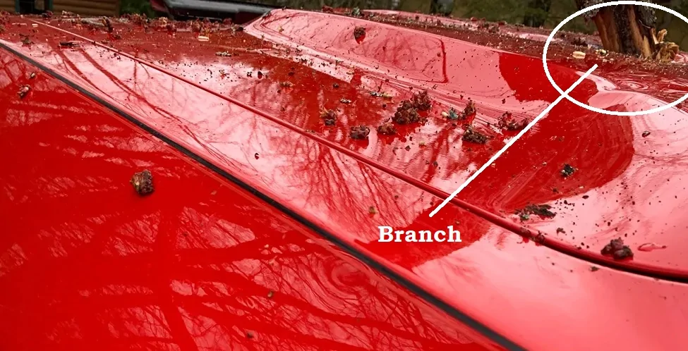 Ford Maverick How thin is that metal? Pretty thin! Branch_vs_Challenger