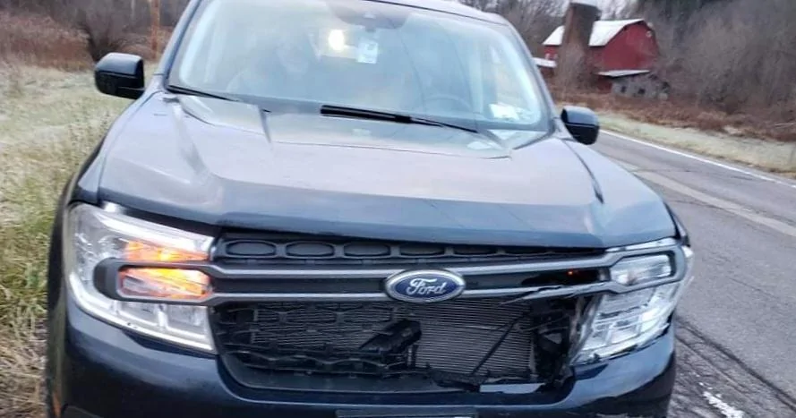 Ford Maverick Aftermarket grill guard? received_6662196203854331
