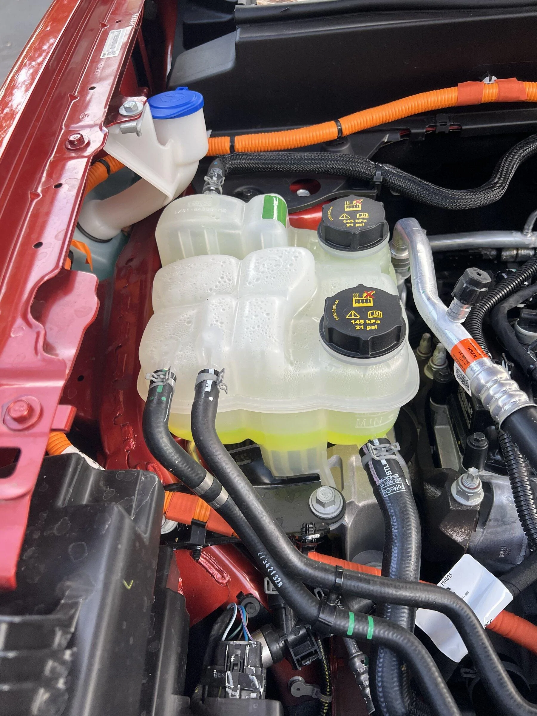 Ford Maverick Hybrid engine coolant IMG_0336