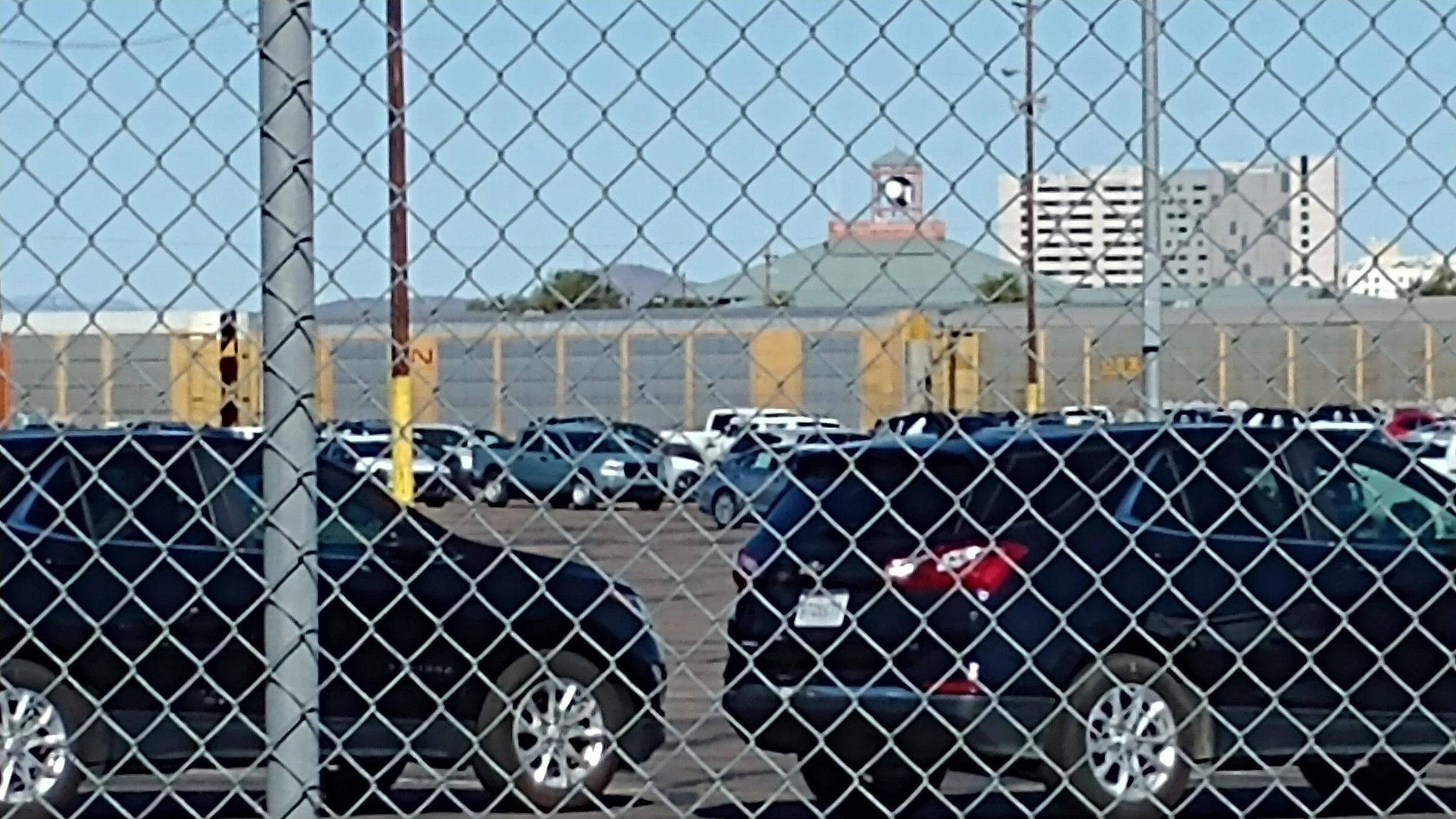 IMG_20220101_113359425.jpg
