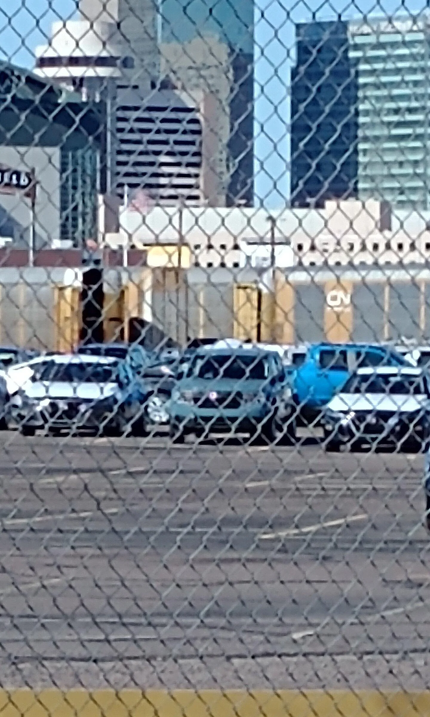 IMG_20220101_113525343.jpg