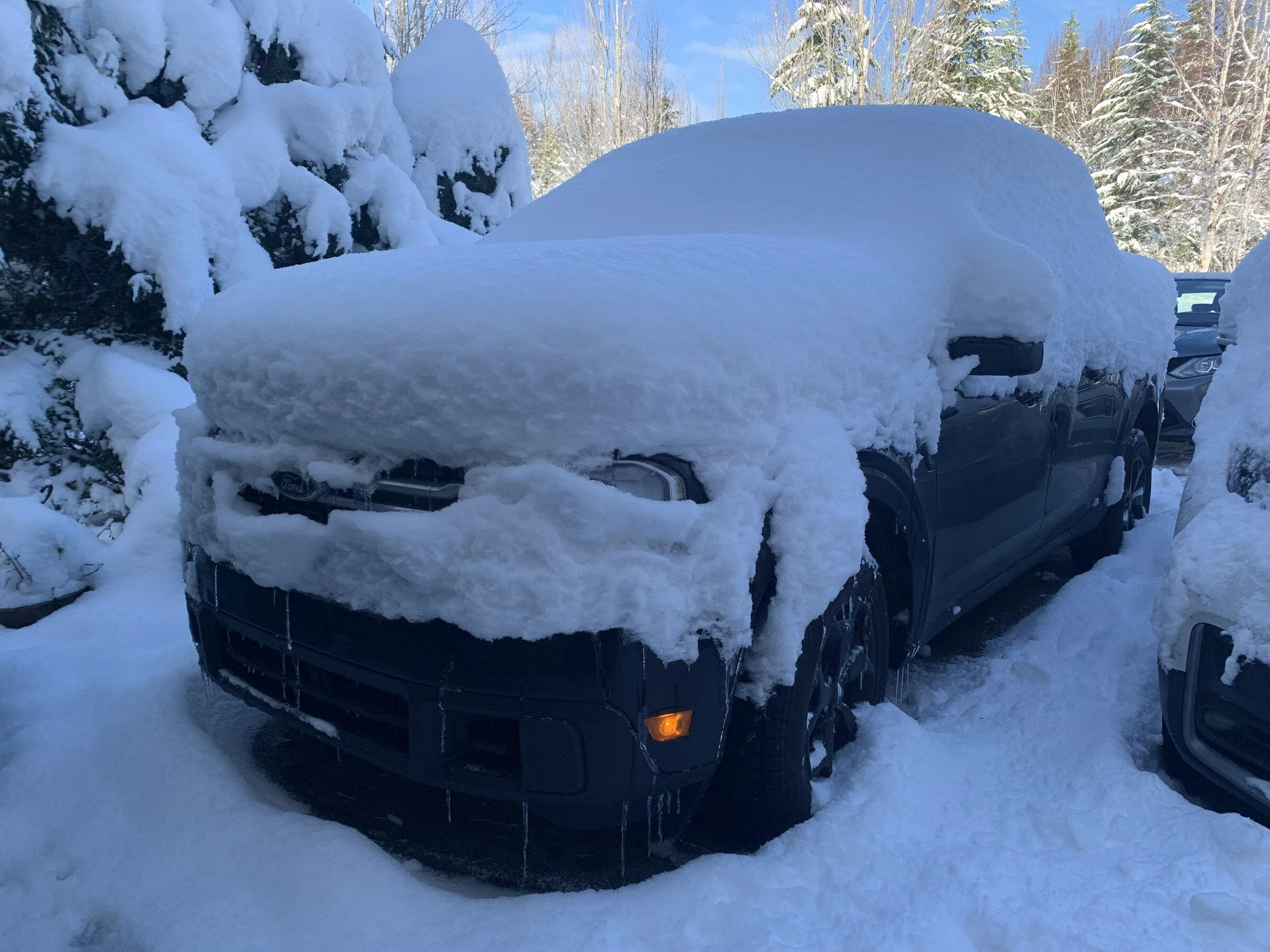 Ford Maverick Western Washington MAV