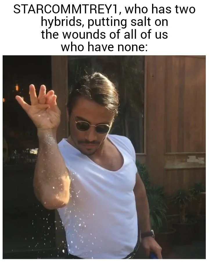 Ford Maverick Maverick Memes -  fun diversion while we wait [ ** NO POLITICS ** ] SaltBae 07012022061834