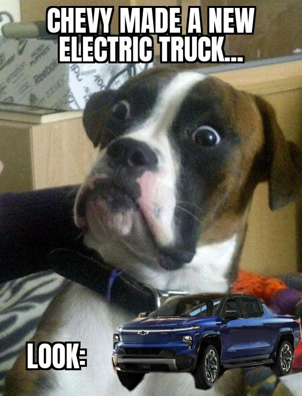 Ford Maverick Maverick Memes -  fun diversion while we wait [ ** NO POLITICS ** ] Baffled boxer 08012022212321