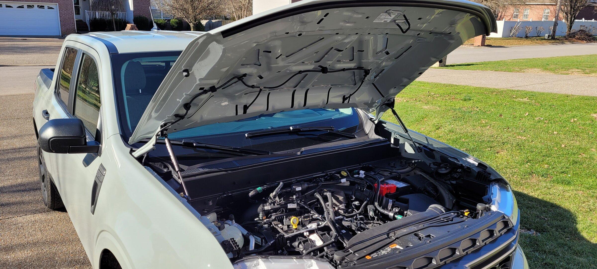 Ford Maverick CACTUS GRAY Maverick Photos Thread 20220111_103120