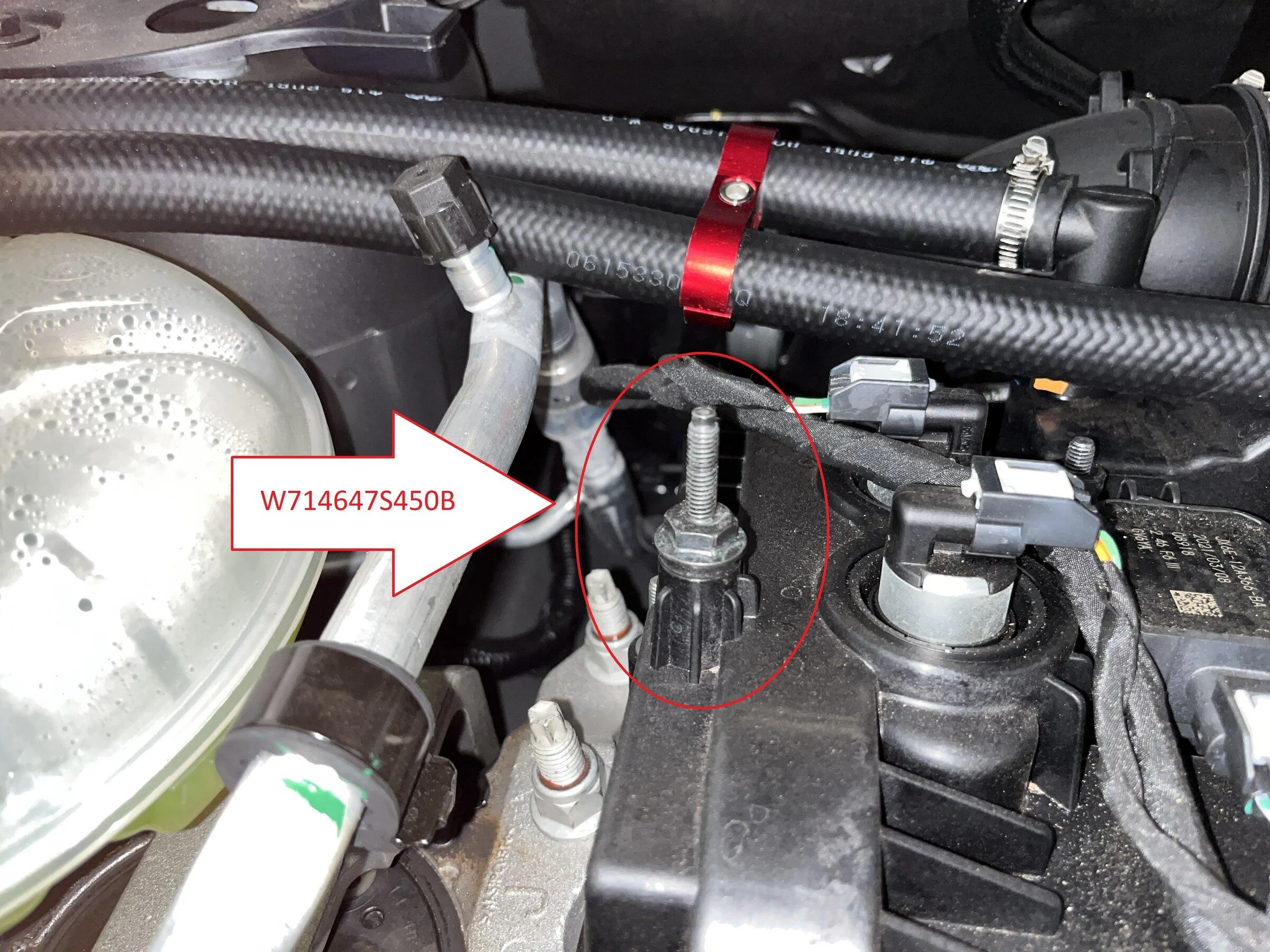 Ford Maverick Engine Cover installed in 2.0L Ecoboost Maverick engine bay (From Escape) 7