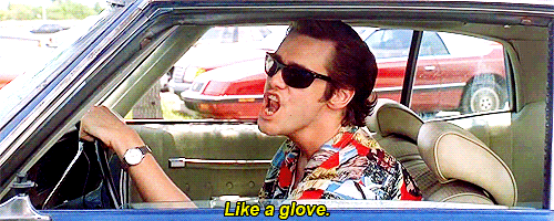 Ford Maverick What's your Maverick hauling in the bed? [Photos Edition] giphy