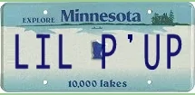 Ford Maverick Personal license plates / vanity plate for your Maverick?? Screenshot 2021-08-16 195728