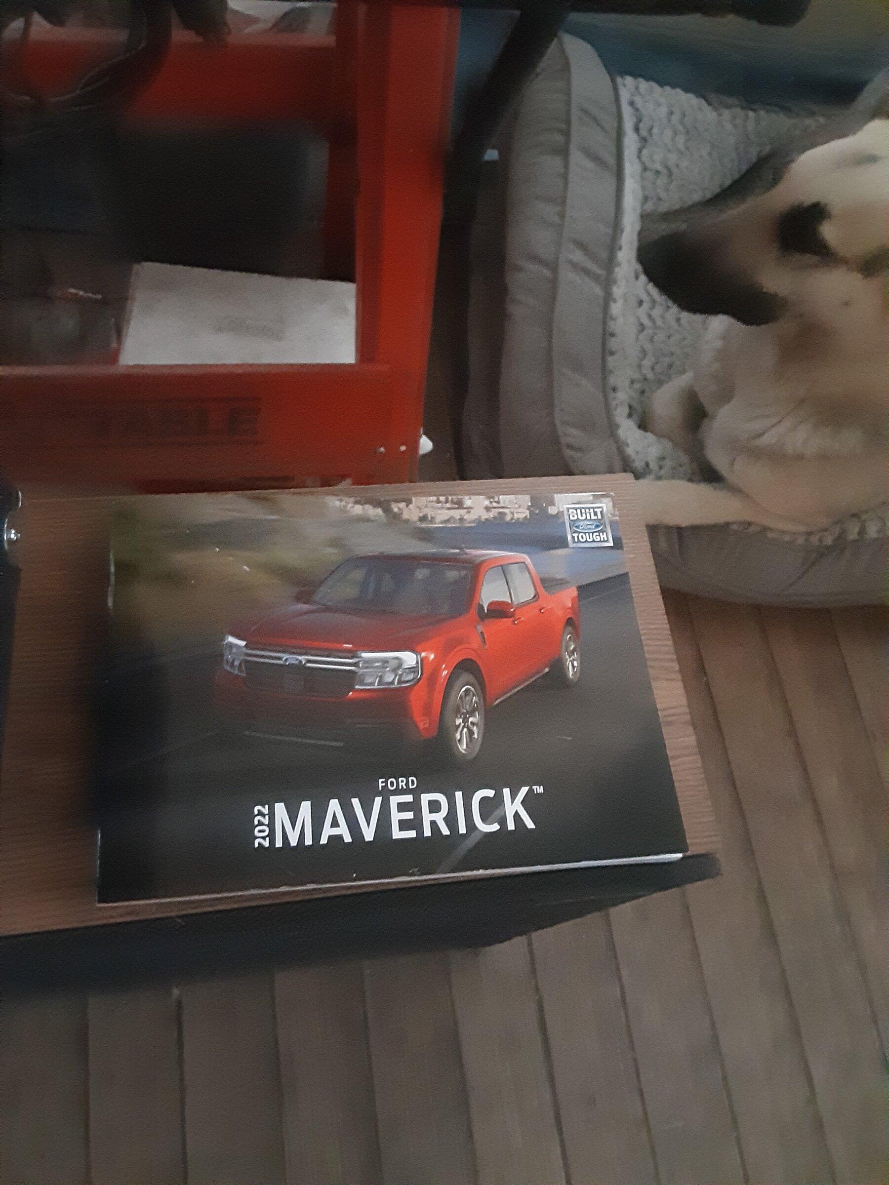Ford Maverick Fx4 option , which mode, in snow? 20220120_161636