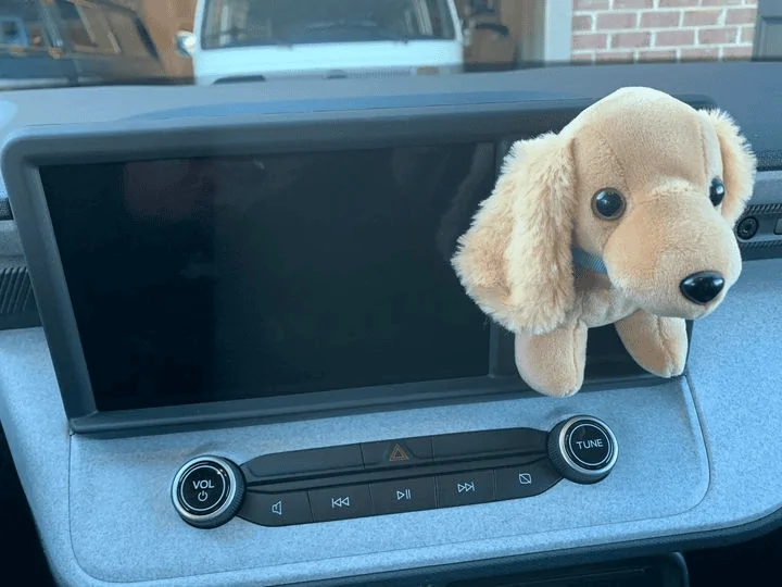 Ford Maverick Dash cubby hole -- what's in yours? 📸 1642902339474