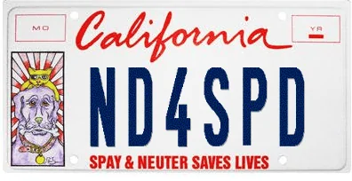 Ford Maverick Personal license plates / vanity plate for your Maverick?? Screenshot 2022-01-23 210416