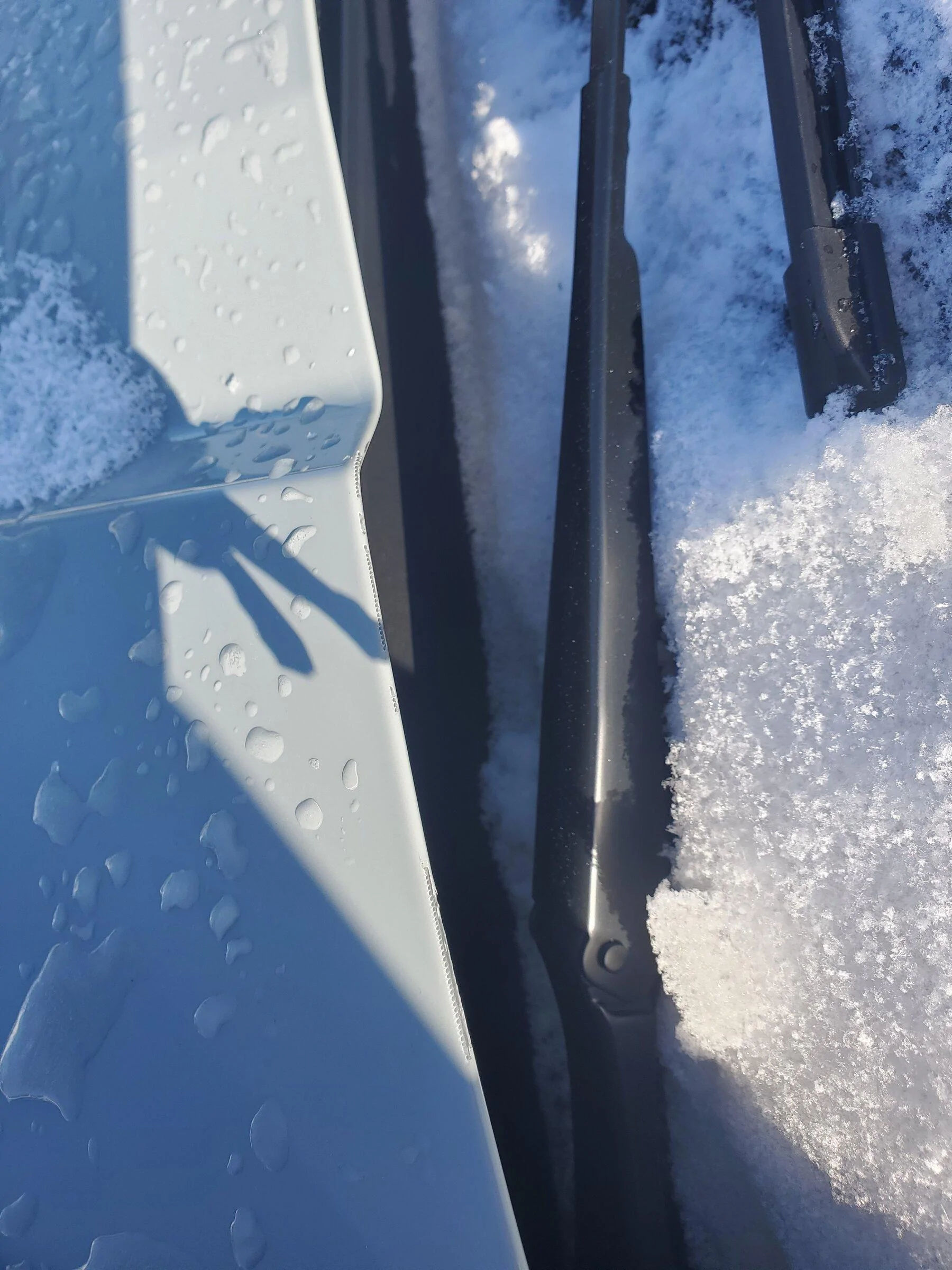 Ford Maverick Hood paint rubbed off from wiper 20220129_141518