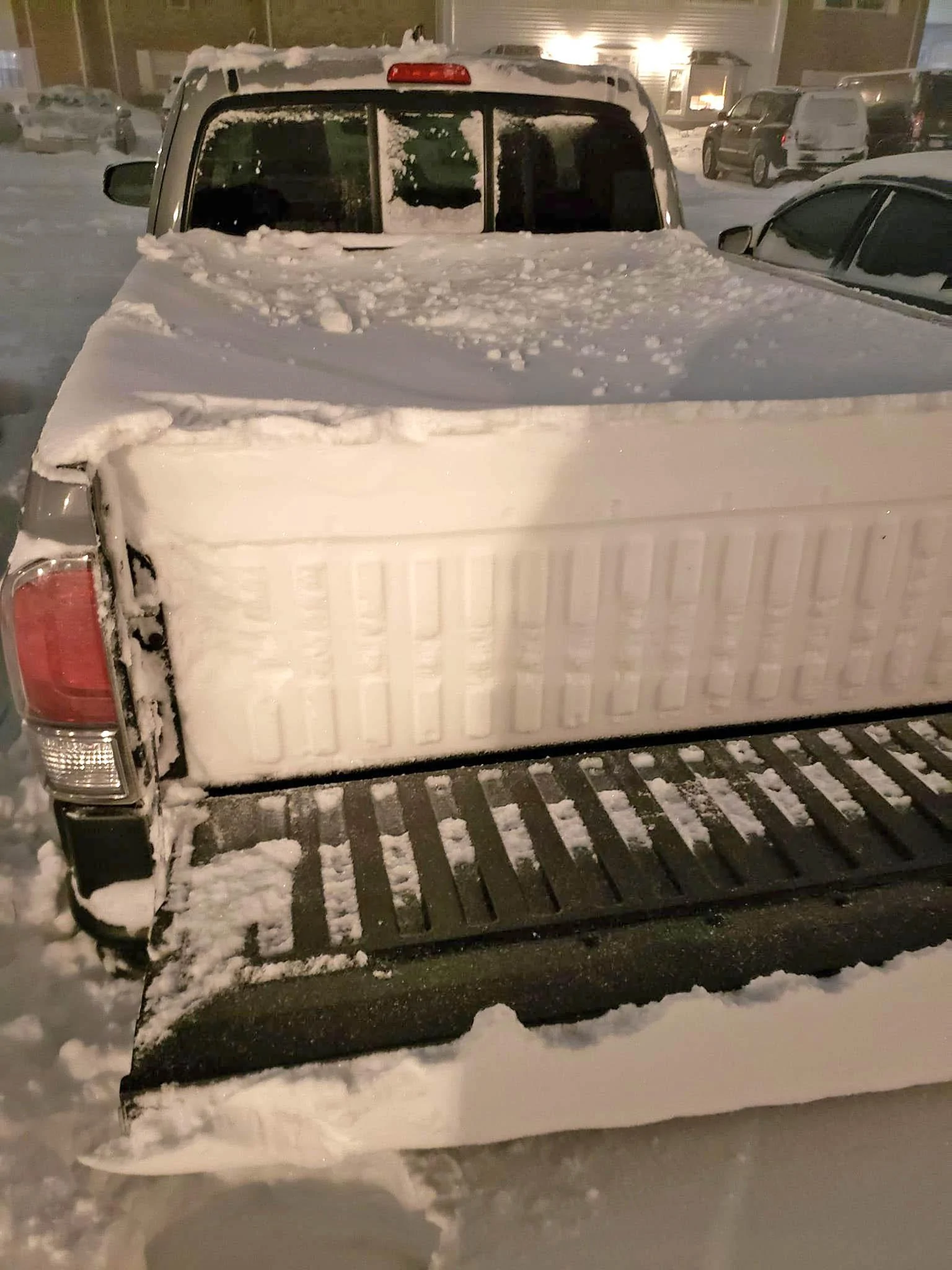 Ford Maverick What's your Maverick hauling in the bed? [Photos Edition] 272974797_964702040817965_4578627349446472002_n