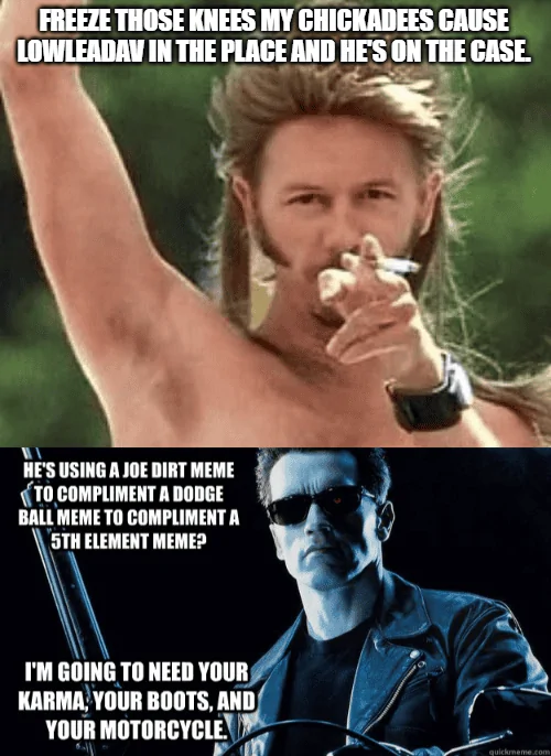 Ford Maverick Maverick Memes -  fun diversion while we wait [ ** NO POLITICS ** ] download (8)
