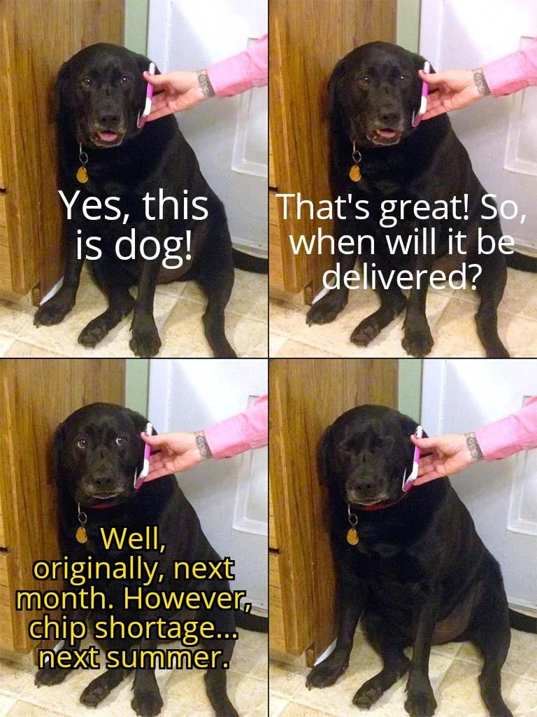 Ford Maverick Maverick Memes -  fun diversion while we wait [ ** NO POLITICS ** ] Yes This Is Dog 2 06022022155146