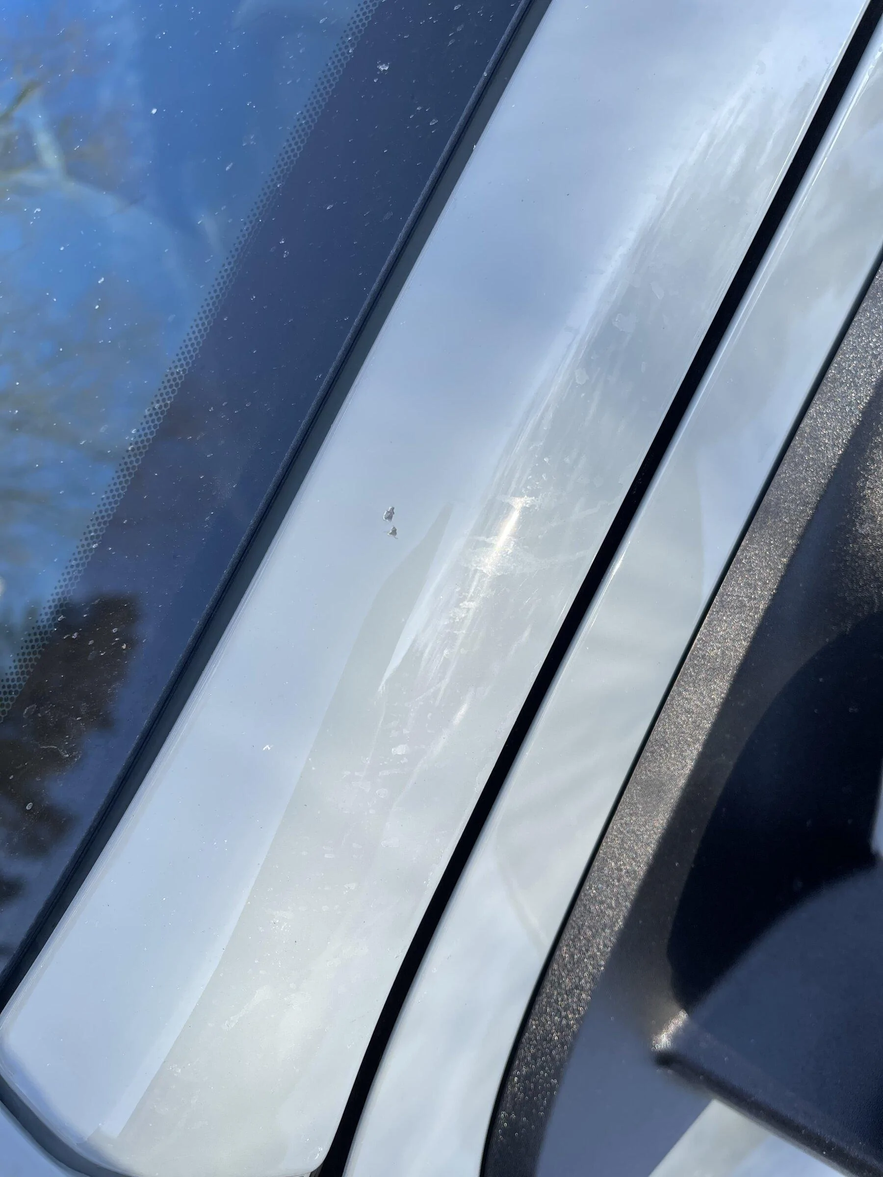 Ford Maverick Soft paint? Rock chips after 400 miles C5F3F0D0-2E82-4826-B6A7-282A19963D32